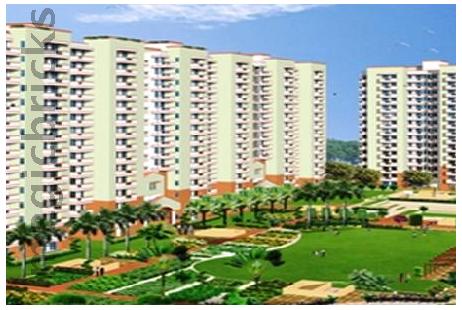 Vipul Gardens Resale Flats Price 4 Flats For Sale In Vipul Gardens