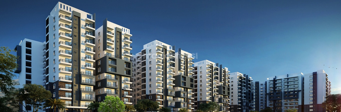 Royal forex commercial street bangalore