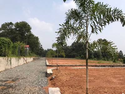 Cent Residential Plot Land For Sale In Kakkanad Kochi Posted By