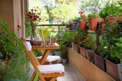 20 Small Balcony Garden Ideas For An Apartment In The City Magicbricks Blog - Miniature Plants Home Decoration Ideas