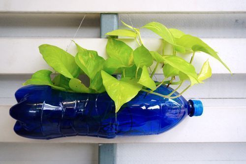 Top 20 Plastic Bottle Flower Pot Design Ideas For An Eco Friendly Living Magicbricks Blog - Wall Hanging Flower Vase With Plastic Bottle