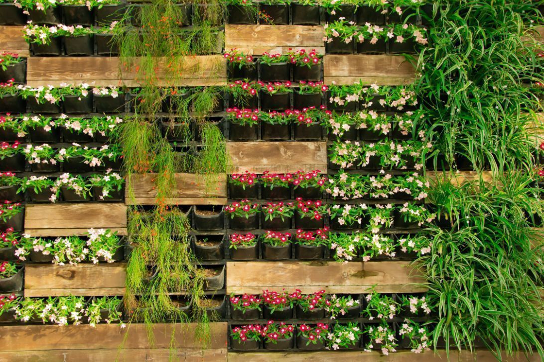 vertical-garden