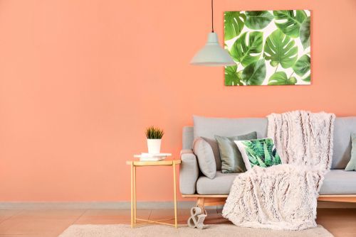 Peach and green home interior colour combination