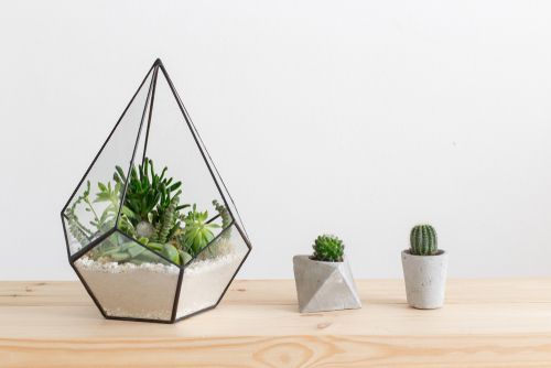 Minimalist Geometric Shapes For Home Decor photo