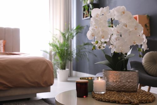 beautiful-white-orchids-candles-on-table