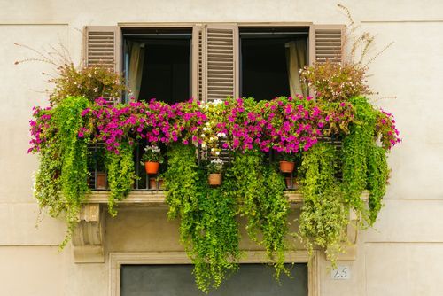 20+ Small Balcony Garden Ideas To Create A Cosy & Beautiful Space