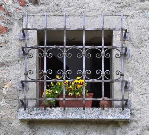 Plants & Flowers Wall Decor  Home window grill design, Steel door design,  Grill door design