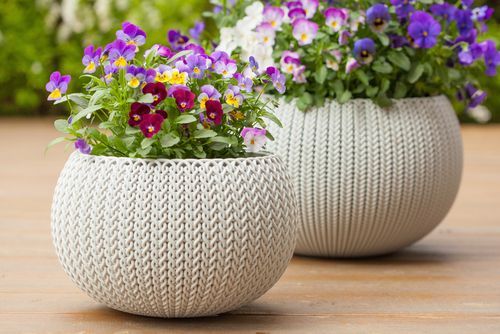 18 Unique Flower Pot Design Ideas for Your Garden Magicbricks Blog