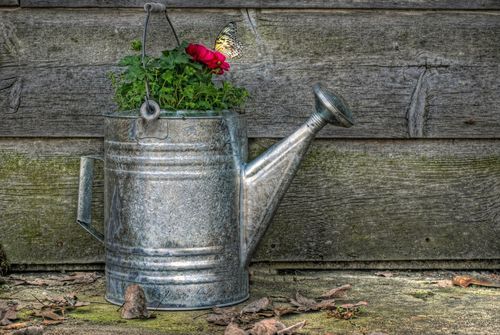 20 Flower Pot Ideas To Choose The Right One - Latest Garden Pot Ideas