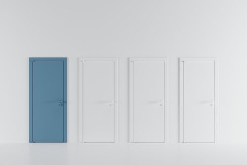 15 Flush Door Design Ideas for Your Home