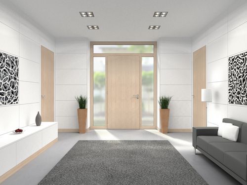 15 Flush Door Designs with Glass to Add a Touch of Sophistication