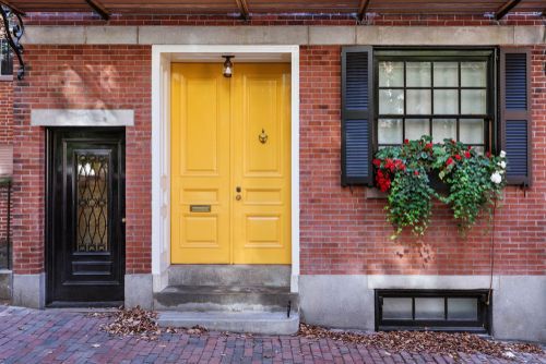 Vastu Secret to Attracting Wealth: Keep a Peacock Feather in Your Home