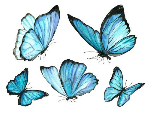 butterfly Feng Shui symbols