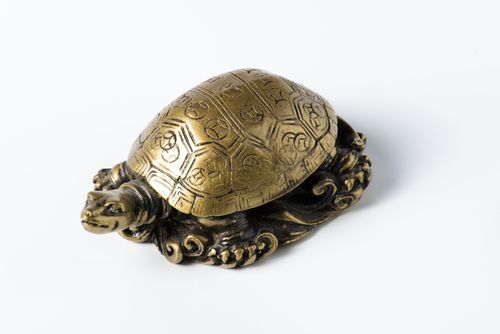 15 Feng Shui Turtle Placements in Your Home