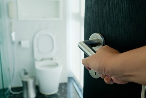 10+ Vastu Tips for Attached Bathroom and Toilet- Vastu For Home