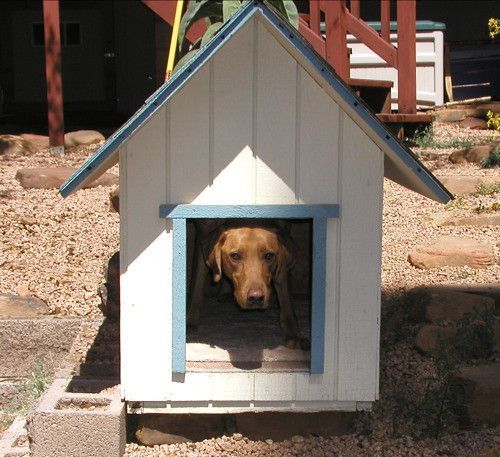 10 Interesting Dog House Designs for the Pet Parent in You | Puppy Houses