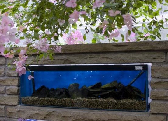 11 Unique Fish Tank or Aquarium Design Ideas for Your Home