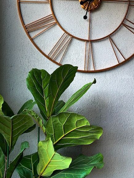 Modern Wall Clock Designs For Living Room And Bedroom