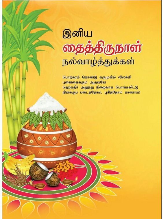 Pongal Festival 2025 Home Celebration & Decoration Pongal Wishes 2025