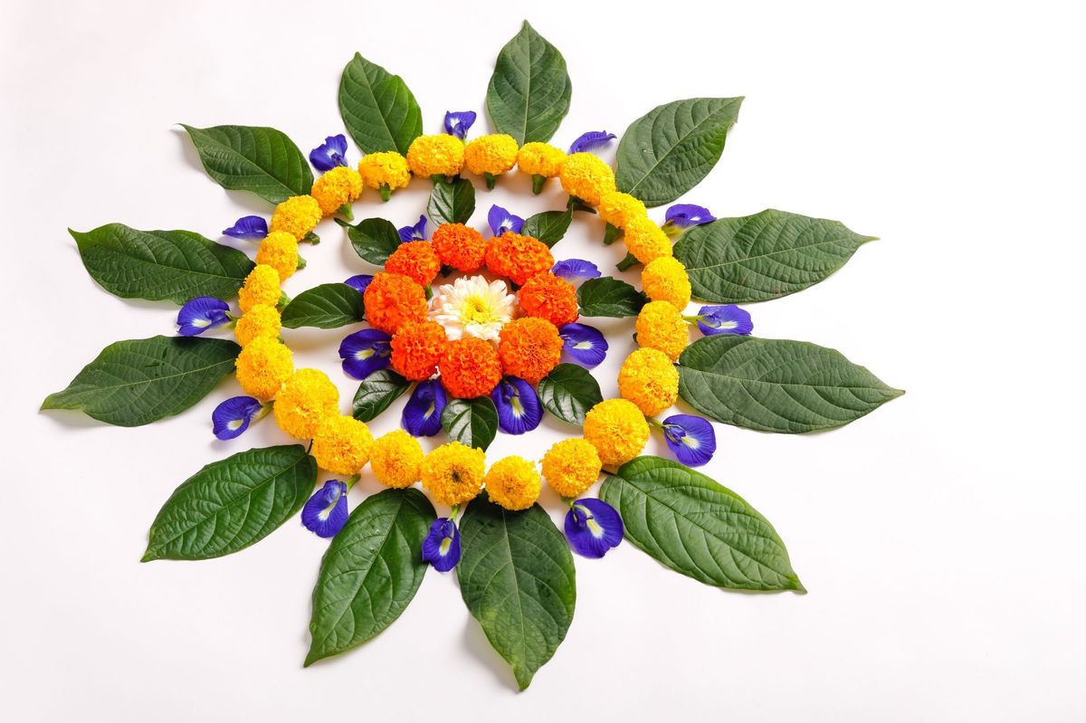 10+ Best Makar Sankranti Rangoli Designs for Home With Images