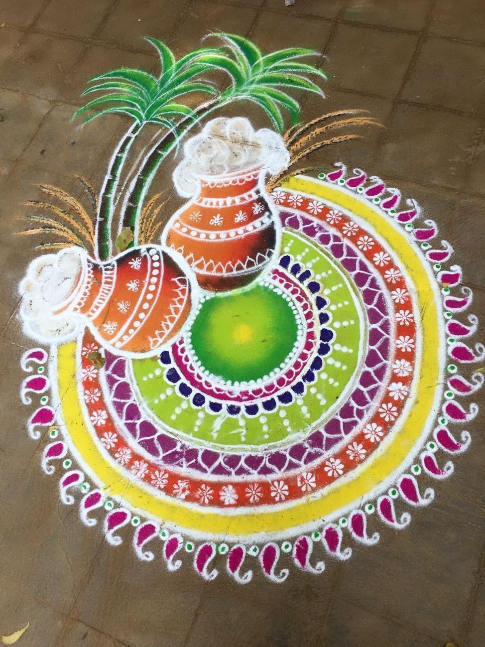 12+ Pongal Kolam Designs Trending in 2024