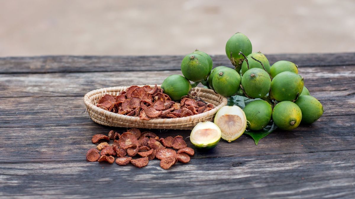 Betel Nut Tree Benefits, Significance and How to Grow