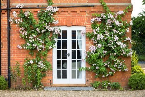 Fancy French Door Design Ideas For Aesthetic Homes feng-shui-colors-to-use-on-an-east-facing-front-door-french-doors