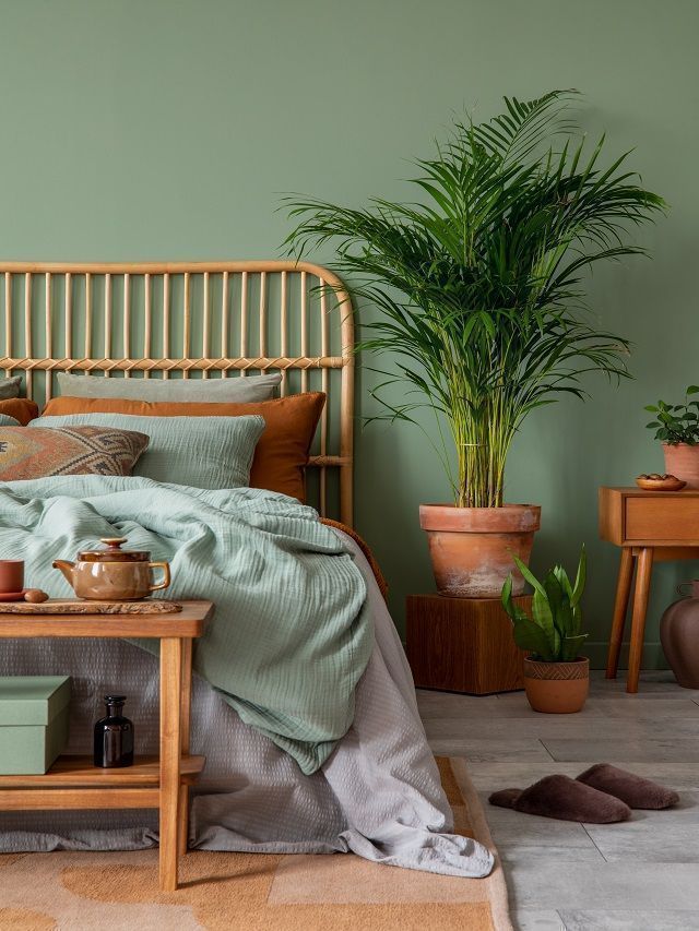 Finding Trouble In Sleep? Discover 6 Bedroom Plants That Help With