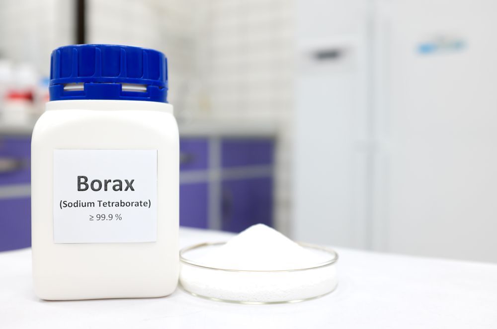 How To Get Rid Of Bed Bugs Permanently Remedies & Solutions