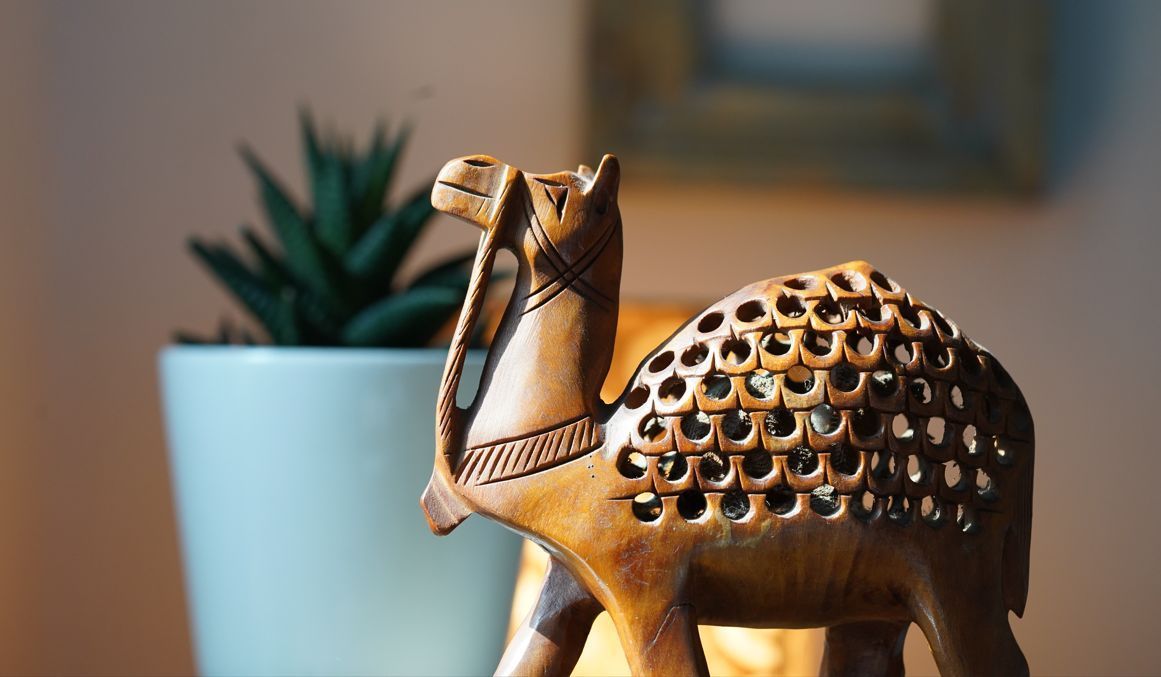 Camel Painting Vastu & Camel Statue Vastu - Direction, Benefits, Type