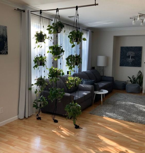 20+ Best Indoor Plants for Small Spaces with Placement Tips