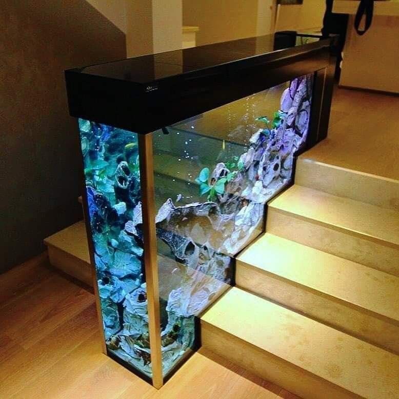 11 Unique Fish Tank or Aquarium Design Ideas for Your Home