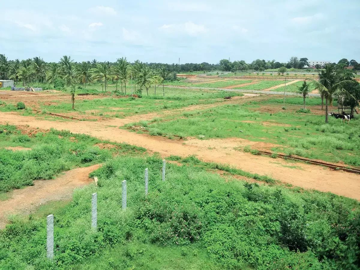 Andhra Pradesh: CRDA To Distribute Housing Plots To People Of EWS