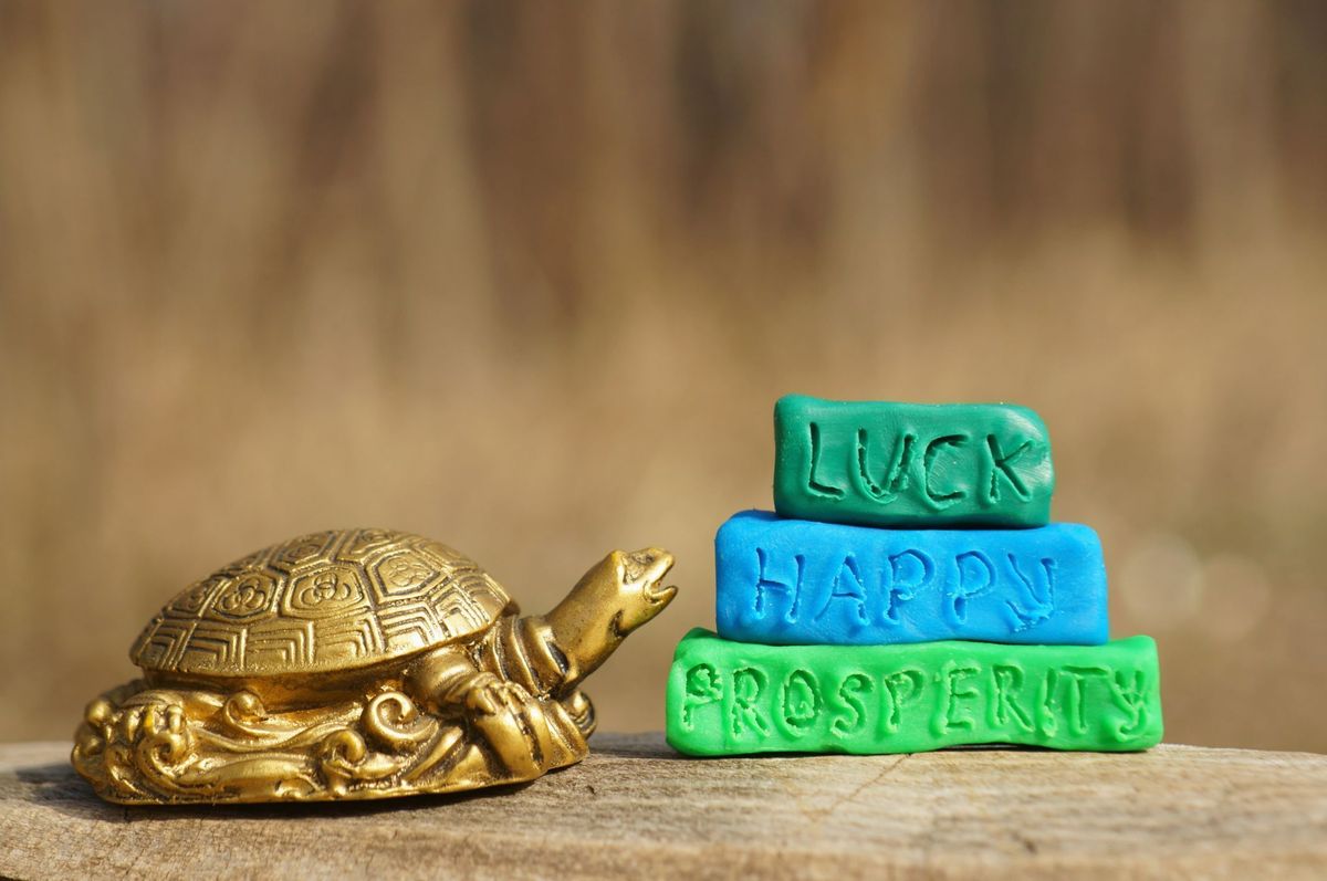 Attract Money In Your House! Keep Feng Shui Tortoise At Home For Wealth ...