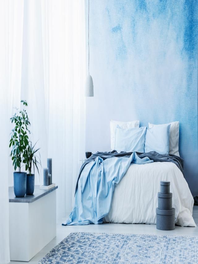 Sky Blue Wall Paint? Pair with These Shades for Beautiful Home