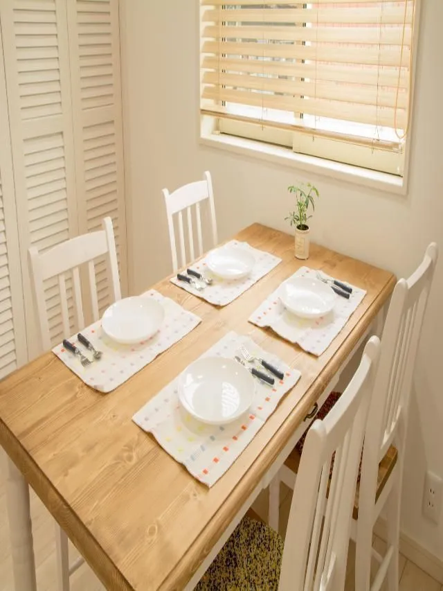 Table Mattern 7 Stunning Dining Table Mats to Add a Touch of Class
