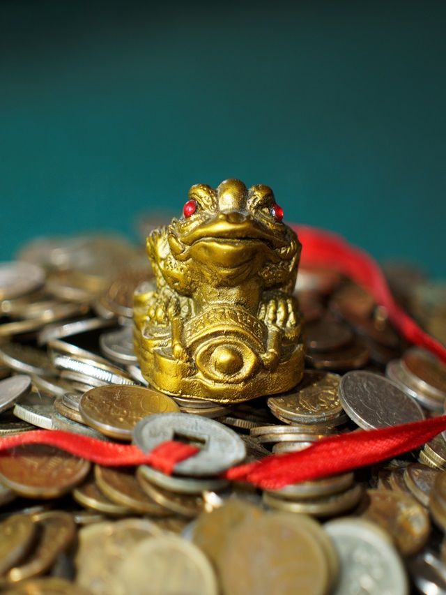 6-disadvantages-of-keeping-feng-shui-turtle-at-home