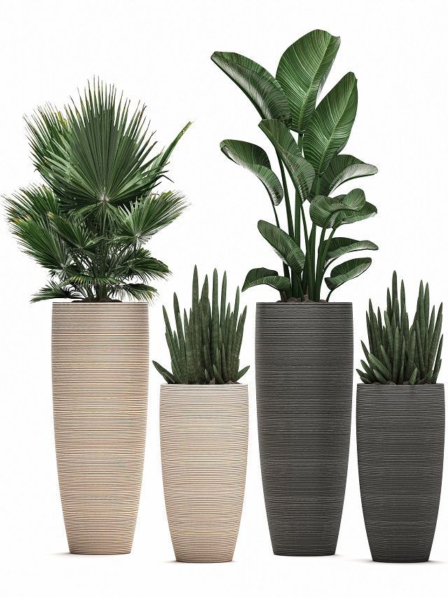 7 Best Websites to Buy Pots & Planters Online