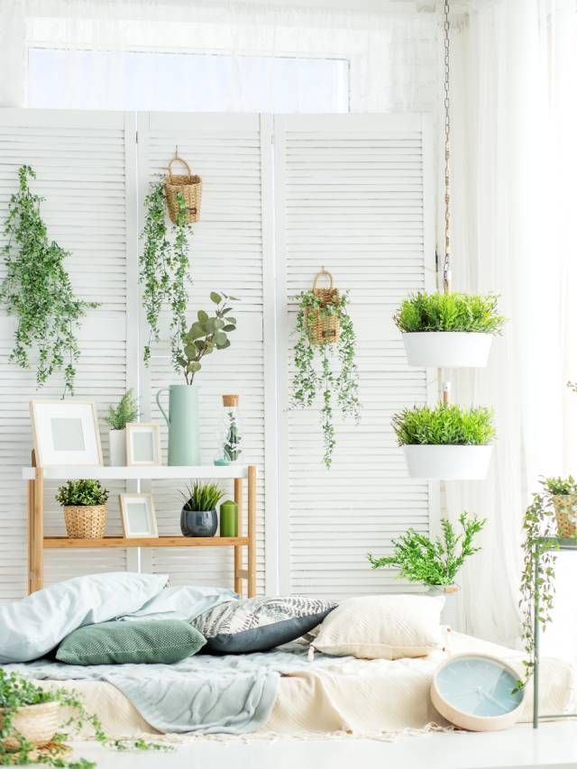 Image showcasing 7 Indoor Garden Decor Tips to Make Your Home More Appealing