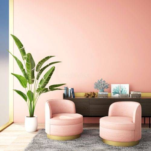 Light Pink color combination for wall with indoor plants