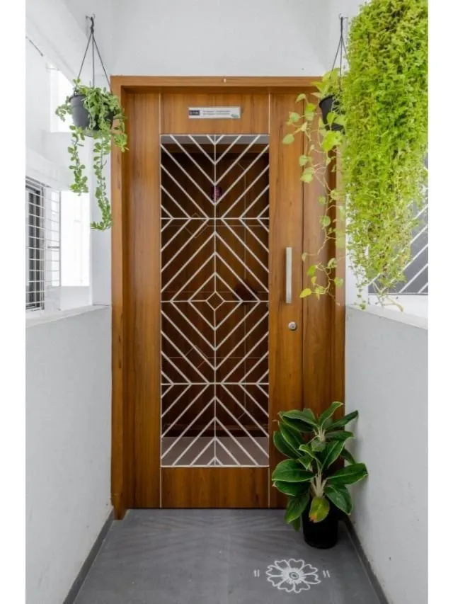 Stylish Safety Door Design Ideas for Modern Homes