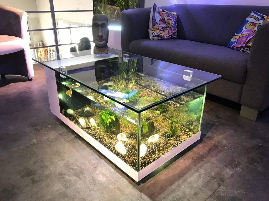 12 Unique Fish Tank or Aquarium Design Ideas for Your Home