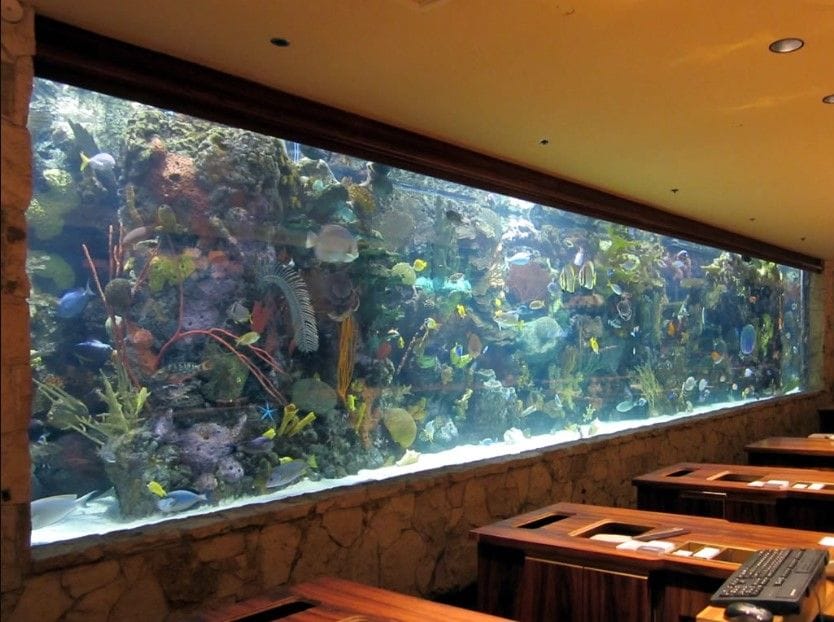 12 Unique Fish Tank or Aquarium Design Ideas for Your Home