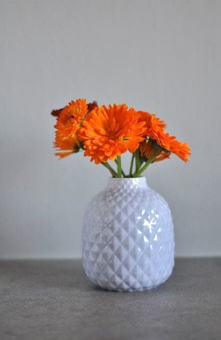 15+ Independence Day Decoration Ideas for Your Home And Office