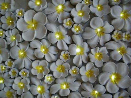 15+ Latest Pop Interior Designs for Walls & False Ceiling