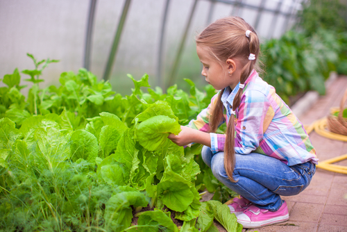 20-vegetable-garden-ideas-for-small-spaces-kitchen-garden-ideas