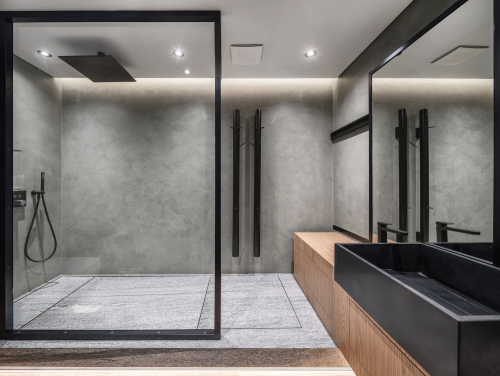 Frameless Glass Partition 