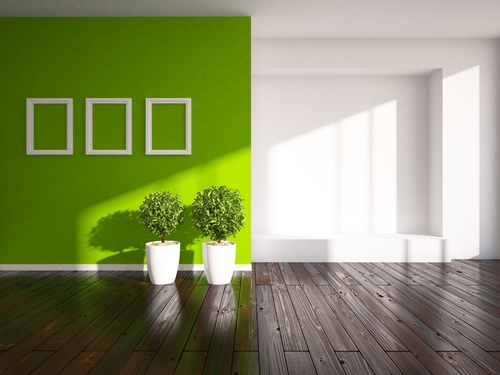 Green decor idea - green empty interior