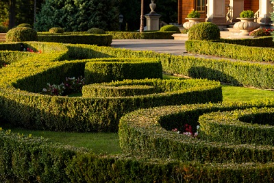 a-classic-theme-with-boxwood-bushes