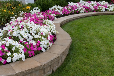 a-floral-garden-in-your-balcony